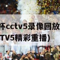欧洲杯cctv5录像回放(欧洲杯CCTV5精彩重播)